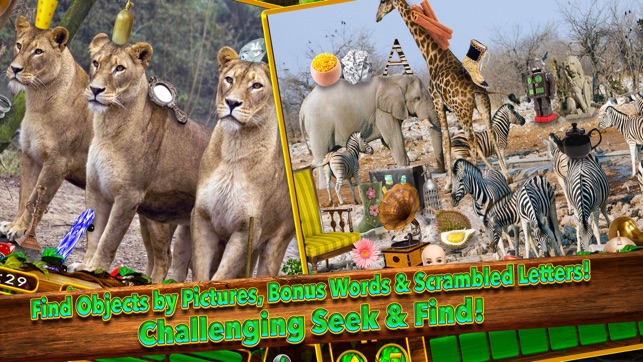 Hidden Objects Animal Kingdom(圖4)-速報App