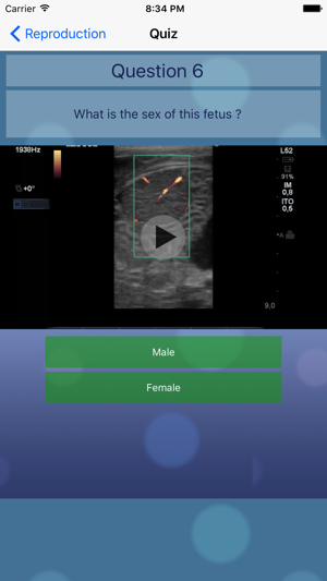 Advanced Equine Reproductive Ultrasound(圖4)-速報App