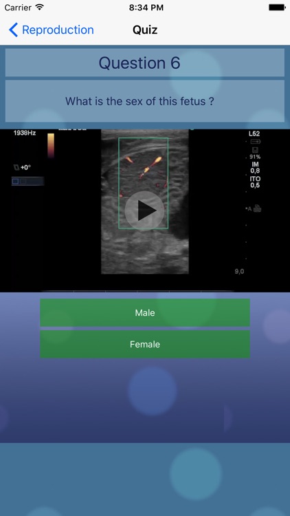 Advanced Equine Reproductive Ultrasound screenshot-3