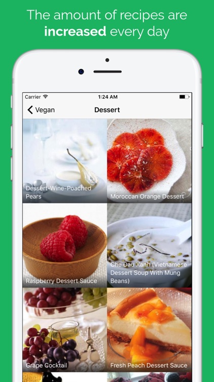 Vegan Food Recipes screenshot-3