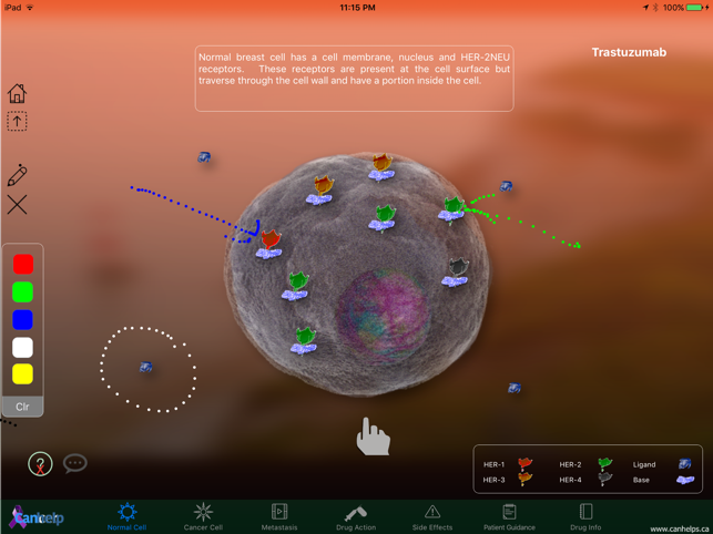 Trastuzumab(圖1)-速報App