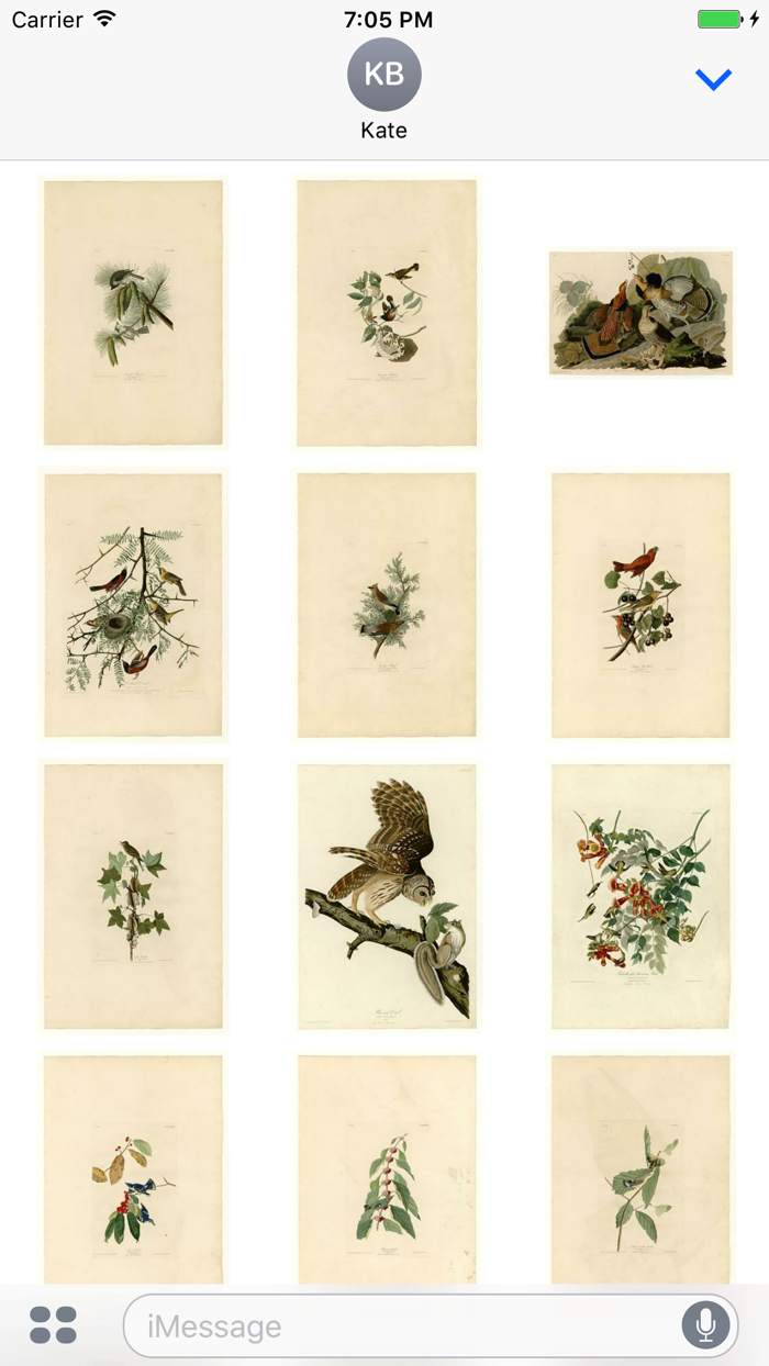 Audubon Artworks Stickers