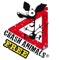 In this hyper hectic racing game „CRASH Animals“ you are an intrepid badass rocker, cruising through the endless desert