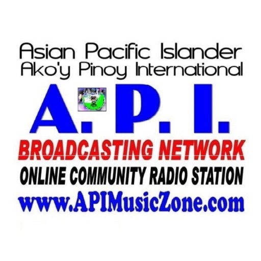 API BROADCASTING NETWORK icon