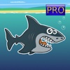 Splashy Sharky PRO