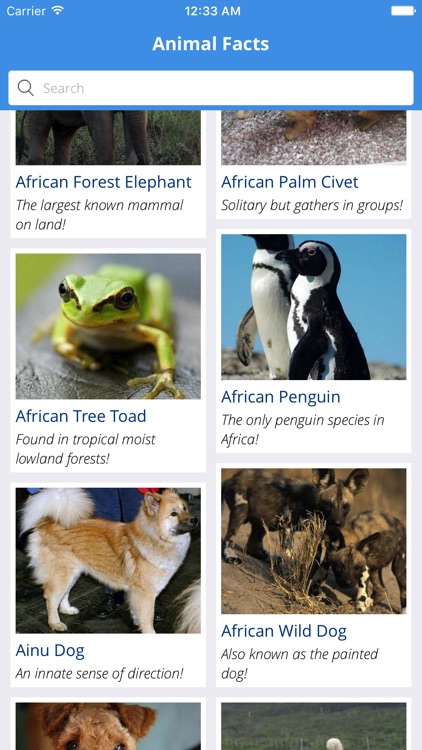 Animal Facts (Animal World)