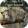 Icon Tiger Sounds - Tiger Sounds for Kids