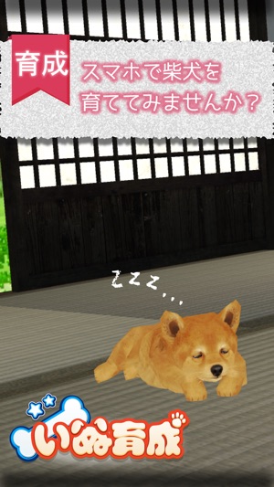 Shibainu Dog Simulator 3D