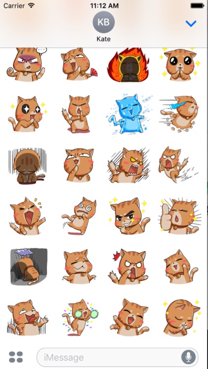 Brown Cat Funny screenshot-3