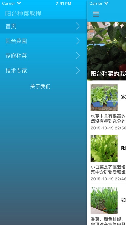 家庭阳台种菜大全 - 家庭绿色菜园最实用的种菜技术宝典