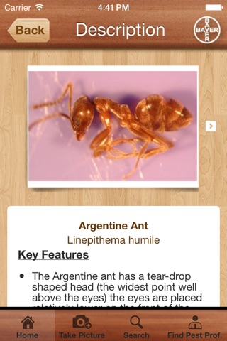 Bug ID screenshot 4
