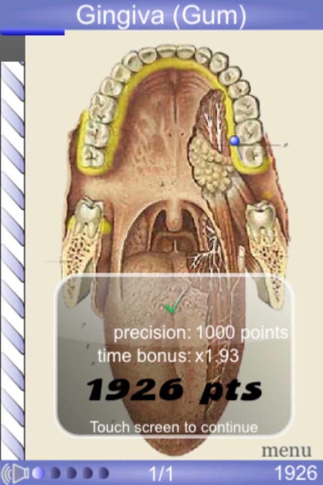 Speed Anatomy Lite (Quiz) screenshot 2