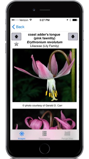 Oregon Wildflowers(圖4)-速報App