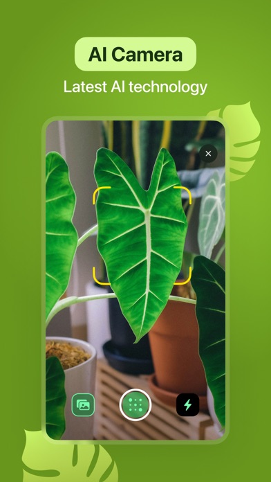Leaf Identification - ስክሪንሹት ምስል 4