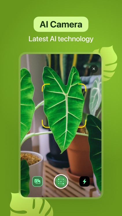 Leaf Identification screenshot-4