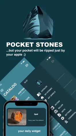 Game screenshot Pocket Stones mod apk