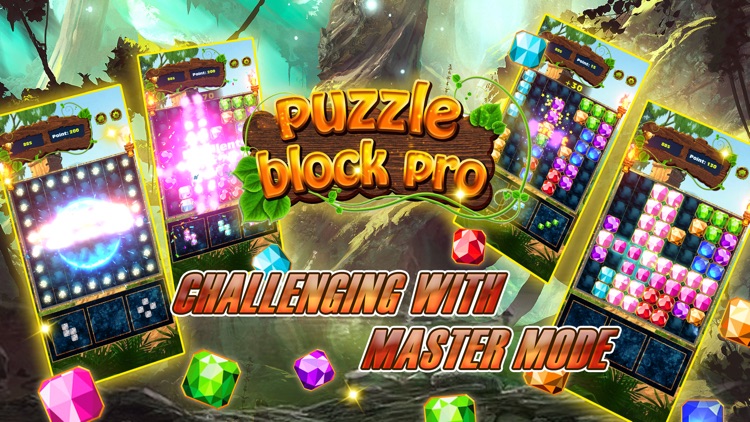 Puzzle Block Pro