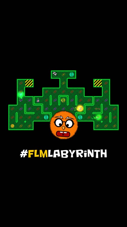 FLM - Labyrinth