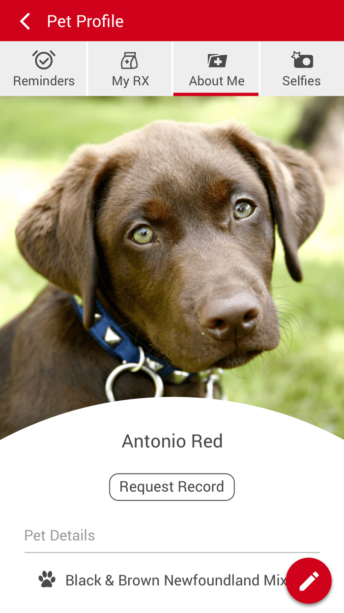 Seagrove Animal Hospital