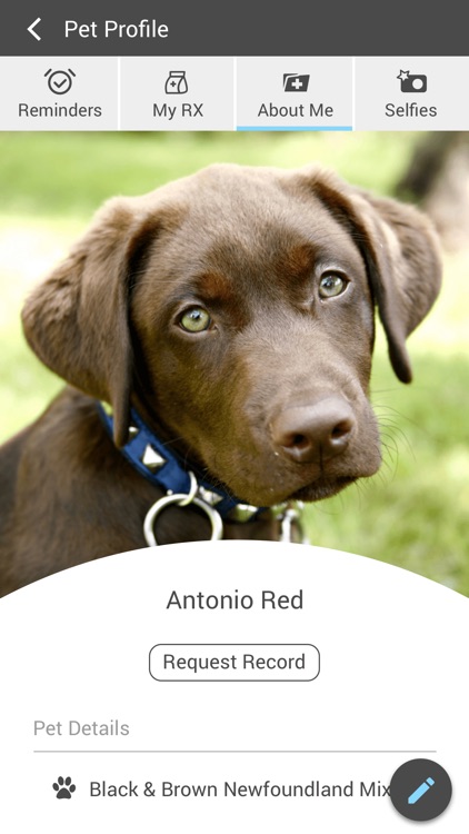 Northside Animal Vet