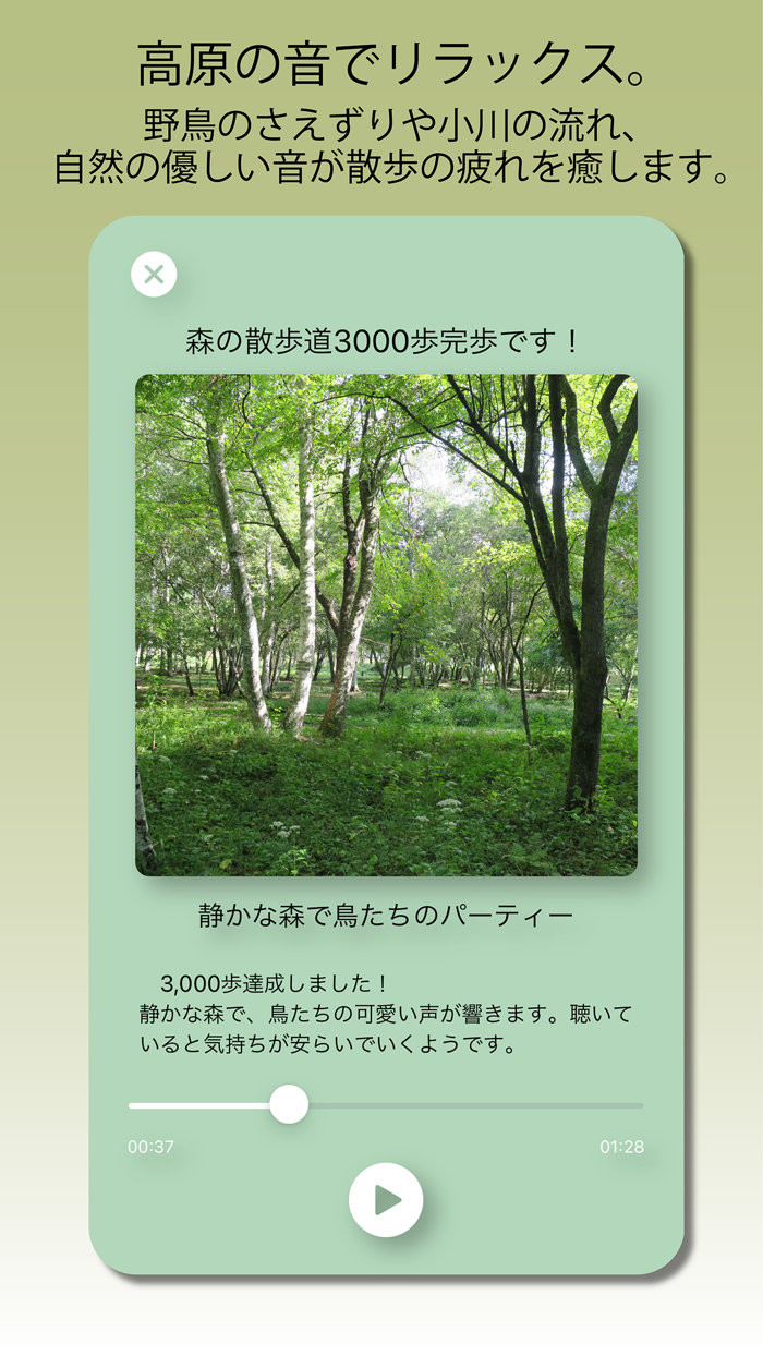 八ヶ岳高原を歩こう