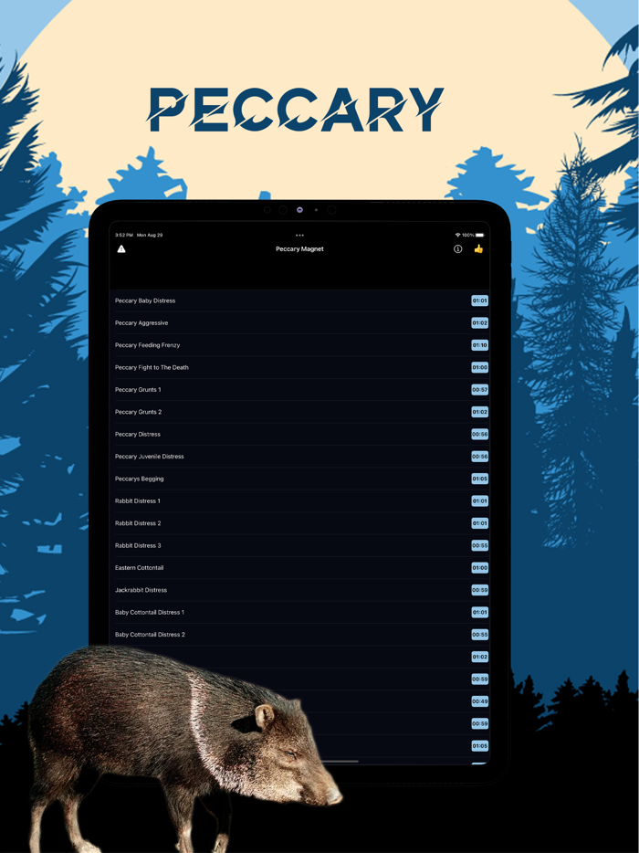 Peccary Magnet - Animal Calls