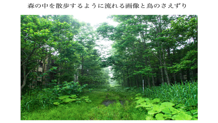 癒しの音と写真で自律神経整えるRelaxPhotoSound