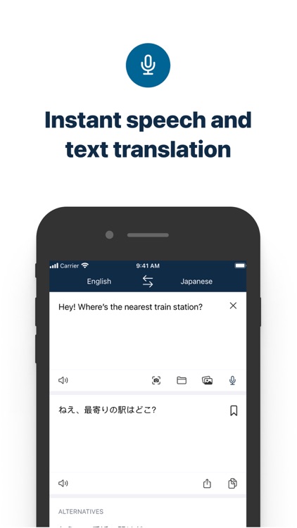DeepL Translate screenshot-5