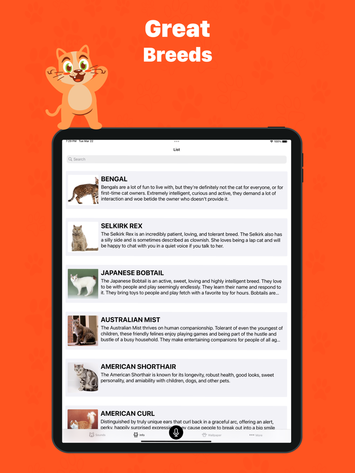 Human to cat translator app