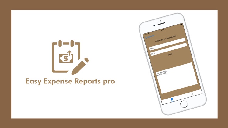 Easy Expense Reports pro