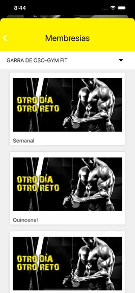 Game screenshot Garra de Oso Gym-Fit apk