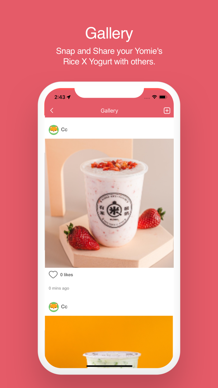 Yomie’s Rice  Yogurt DMV