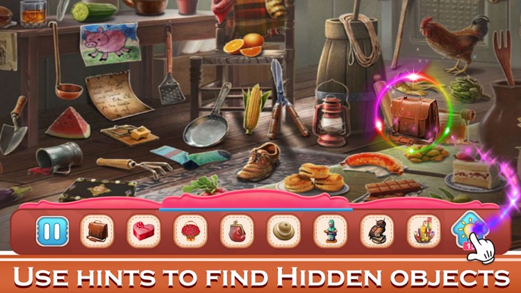 Big Home Hidden Objects