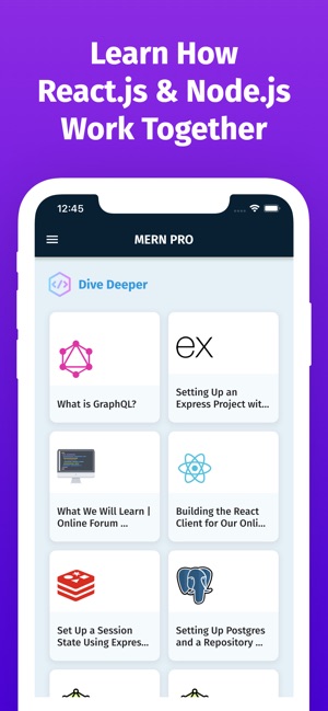 Learn MERN Stack (Node, React) on the App Store