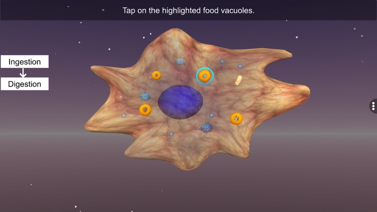 Nutrition in Amoeba screenshot-4