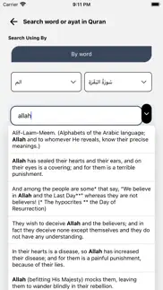 audio quran (11 languages) iphone screenshot 4
