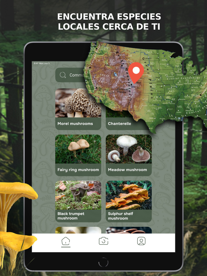 Mushroom Identification ID App