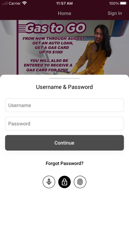 Saginaw County Employees CU