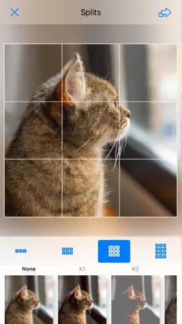 Game screenshot emogrid - make grids photo apk