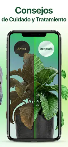 Captura de Pantalla 3 NatureID - Identificar plantas iphone