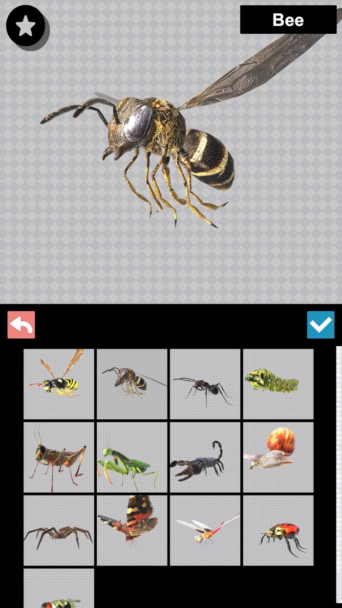 Insect 3D Reference