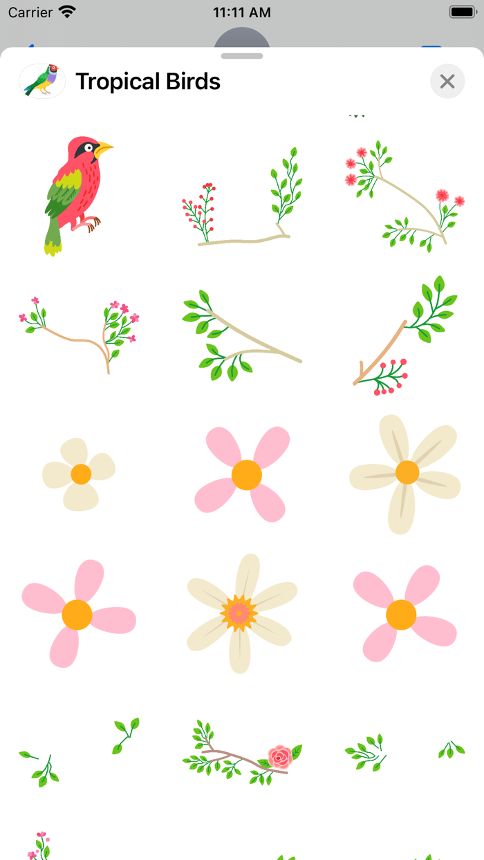 Tropical Birds, Plants, Flower