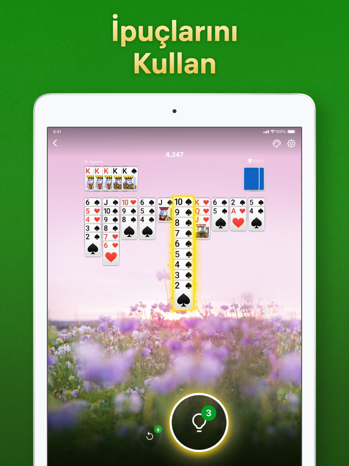 Spider Solitaire - Kağıt Oyunu