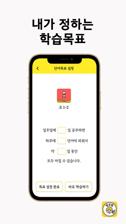 내신런(learn)