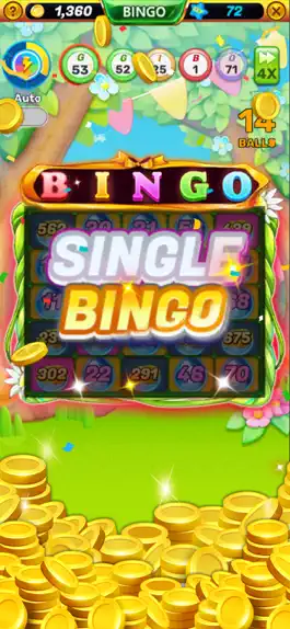 Game screenshot Bingo Crack apk