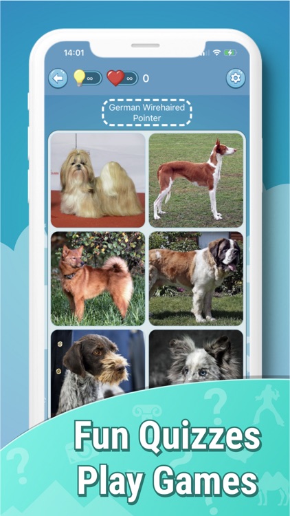 Quiz guess all cute dog breeds screenshot-5