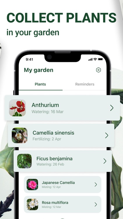 Plant Identification & Scanner screenshot-4