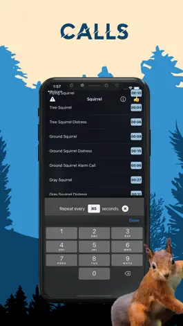 Game screenshot Squirrel Magnet Squirrel Calls hack