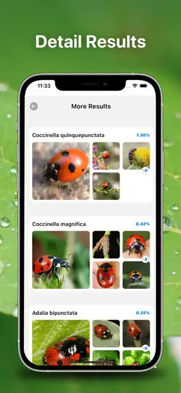 Game screenshot определитель насекомых бабочка hack