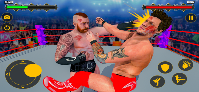 Pro Wrestling  Ring Combat 3D